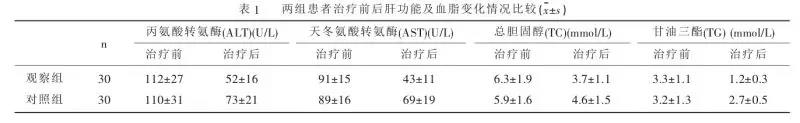 臭氧治療儀